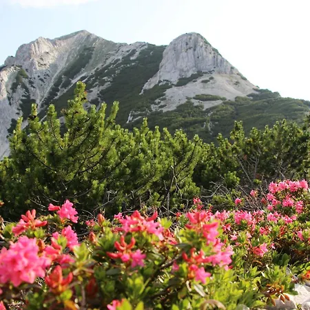 Karwendelblick Apartment Mittenwald