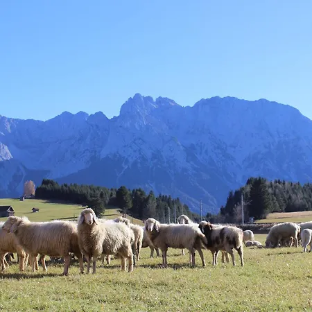 Karwendelblick