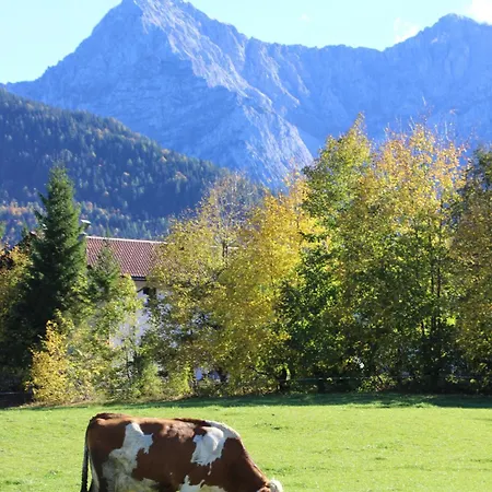Karwendelblick * Mittenwald